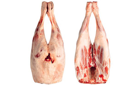 LAMB HINDQUARTER